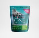 Корм Purina ONE для домашних кошек, индейка и цельные злаки, 750 г