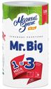 Бумажные полотенца Мягкий знак Mr.Big двухслойные