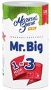Бумажные полотенца Мягкий знак Mr.Big двухслойные 