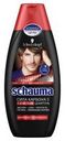 Шампунь Schauma «Сила Карбона 5», 380 мл