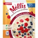 Каша Mollis овсяная Лесные ягоды 40г