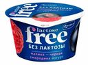 Йогурт Viola Free безлактозный малина-черная смородина 2,7% 180 г