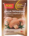 Каша гречневая Ясно Солнышко с грибами и жареным луком, 45 г