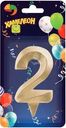 Свеча Хамелеон Грань цифра 2 1шт.