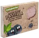 Пастила Galagancha Honey Sweet Pastilla медовая чёрная смородина, 190г