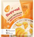 Каша Выручай овсяная с абрикосом 40г