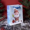 Пакет подарочный новогодний, Снежное кружево, 23х18х10 см, в ассортименте