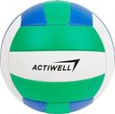 Мяч волейбольный ACTIWELL р. 5, 1 слой, Арт. GFSP27-SC