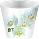 Горшок для цветов InGreen London Orchid Deco цвет: белая орхидея, 1,6 л