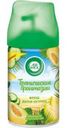 Сменный блок Air Wick Freshmatic Фреш Дыня и огурец 250мл