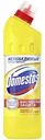 Густой гель универсальный Domestos Максимальная защита Лимонная свежесть, 500 мл