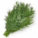 Укроп Global Village 100г