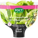 Салат латук маслянистый Рост зелёный, в горшочке