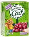 Нектар «Фруктовый Сад» с яблоком вишней и черноплодной рябиной осветленный, 200 мл