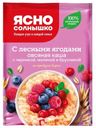 Каша быстрого приготовления Ясно солнышко овсяная 45г с лесными ягодами
