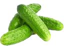 Огурцы короткоплодные тепличные кг