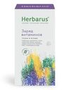 Чайный напиток Herbarus Заряд витаминов (1.8г x 24шт), 43.2г