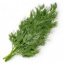 Укроп Global Village свежий 50г