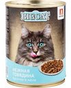 Корм для кошек Зоогурман Big Cat Нежная говядина кусочки в желе, 350 г