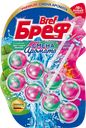 Блок для унитаза БРЕФ Цветущая яблоня-лотос, 2x50г