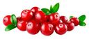 Клюква, 250 г