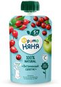 Пюре ФрутоНяня Витаминный салатик яблоко-шиповник-клюква обогащенное витамином С с 5 месяцев 90 г