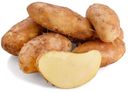 Картофель Ранний