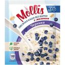 Каша Mollis овсяная с молоком и со вкусом черники 40г