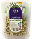 Салатный ростковый микс Vitamincus Белок для мышц, 100 г