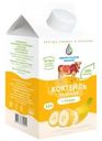 Коктейль молочный Чебаркульское молоко со вкусом банана 3.2% БЗМЖ 500г