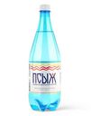 Вода Псыж минеральная питьевая лечебно-столовая газированная, 1л