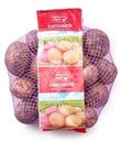 Картофель фасованный