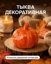 Тыква декоративная, в ассортименте