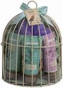 Подарочный набор женский Belle & Whistle Jasmine & Gardenia (гель, лосьон, скраб, соль, мочалка), 5 предметов