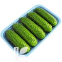 Огурцы ЛЮКС фасованные 450г