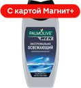Гель для душа ПАЛМОЛИВ МЕН, Арктический ветер, мужской, 3 в 1, 250мл