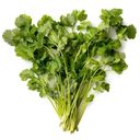 Зелень Маркет Fresh Кинза премиум упаковка, 100г