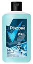 Шампунь и гель для душа Рексона men Мужской 2в1 горный лёд 490мл