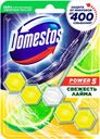 Блок для очищения унитаза Domestos Power 5 Свежесть лайма, 55 г