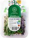Смесь салатная Vitamincus Живые Витамины ростковый, 100г