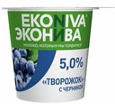 Творожок Эконива Черника 5% 125г
