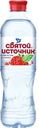 Напиток СВЯТОЙ ИСТОЧНИК со вкусом клубники, негазированный, 0.5л