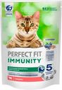 PERFECT FIT Immunity говядина семена льна голубика, 580 г.