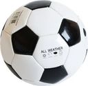 Мяч футбольный ACTIWELL р. 2, 1 слой, Арт. GFSP1602