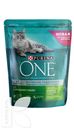 Корм PURINA ONE сухой с индейкой и цельными злаками 750г