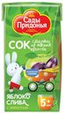 Сок яблочно-сливовый «Сады Придонья», 125 мл