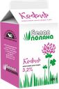 Кефир МЗ СЫКТЫВКАРСКИЙ Белая поляна 3,2%, без змж, 500г