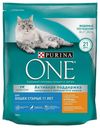 Сухой корм Purina ONE с курицей и злаками повседневный для пожилых кошек 750 г