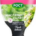 Салат Маслянистый в горшочке 1шт.