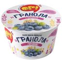 Гранола Ого с черникой, 40г